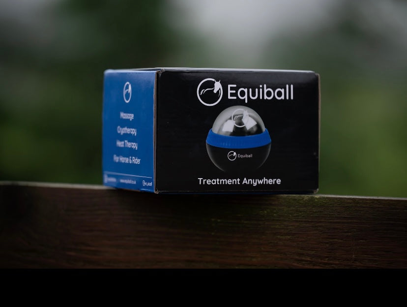 Equiball