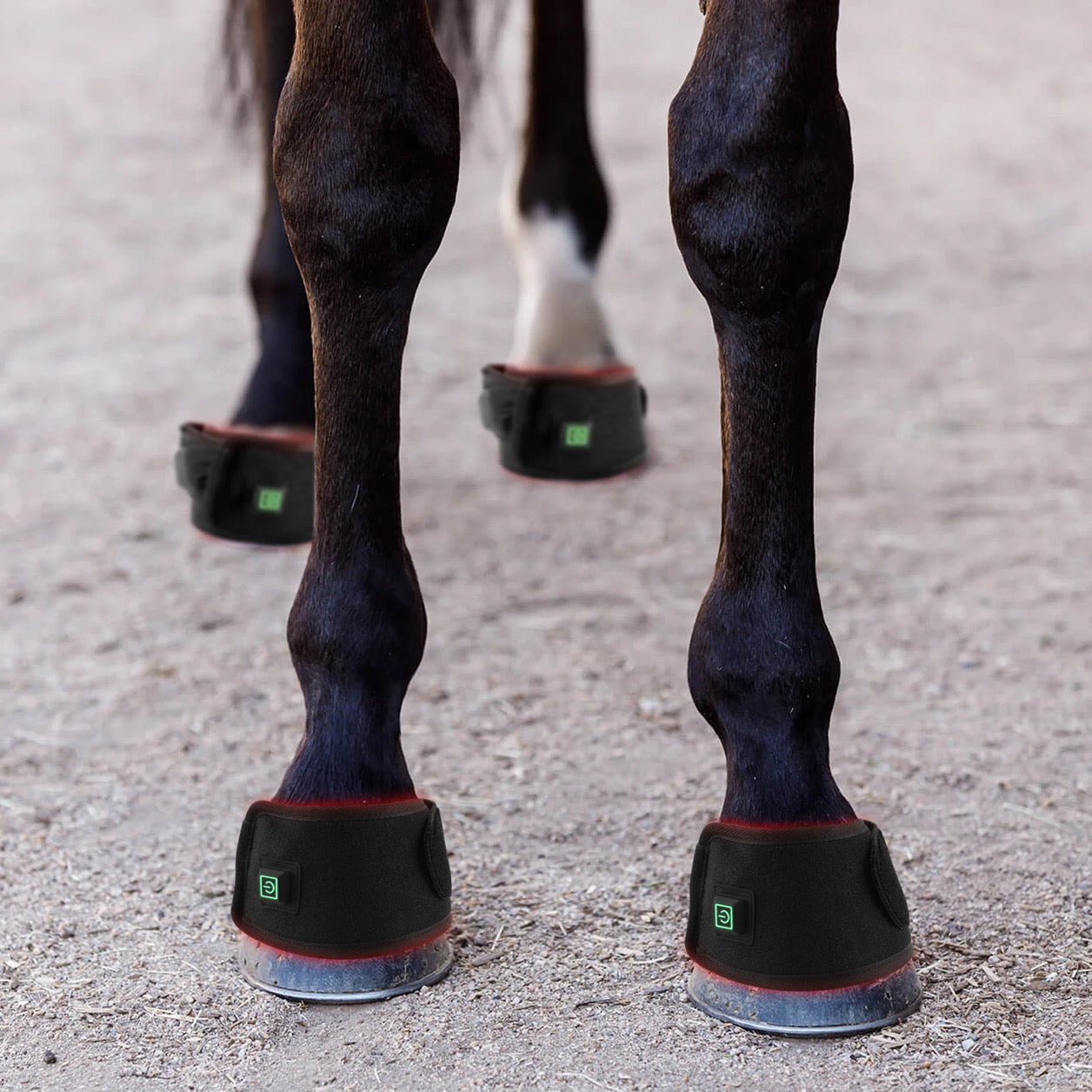 Pair of Red Light Hoof/Leg Boot-Save 15%!