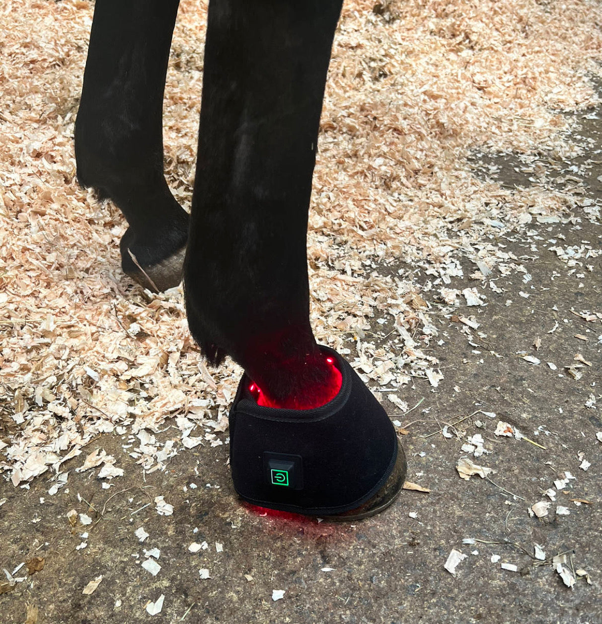 Red Light Hoof/Leg Boot